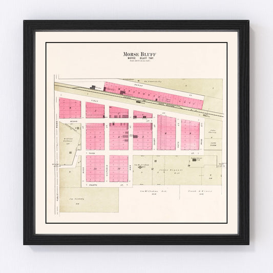 Vintage Map of Morse Bluff, Nebraska 1907