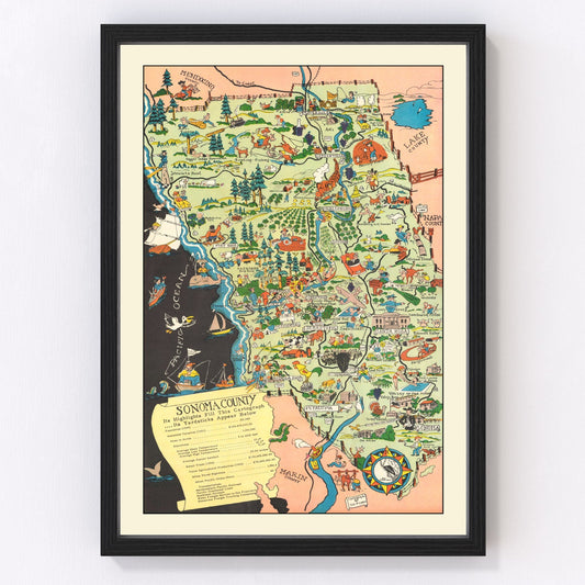 Vintage Map of Sonoma County, California 1951