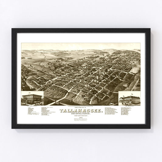 Vintage Map of Tallahassee, Florida 1885
