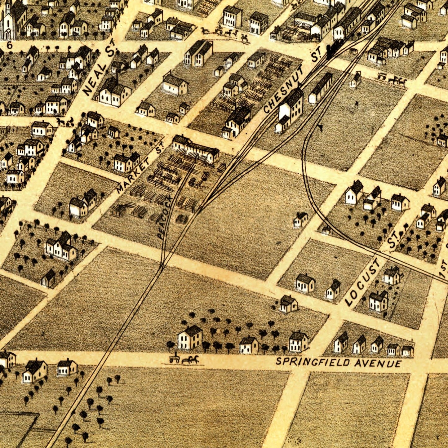 Vintage Map of Champaign, Illinois 1869