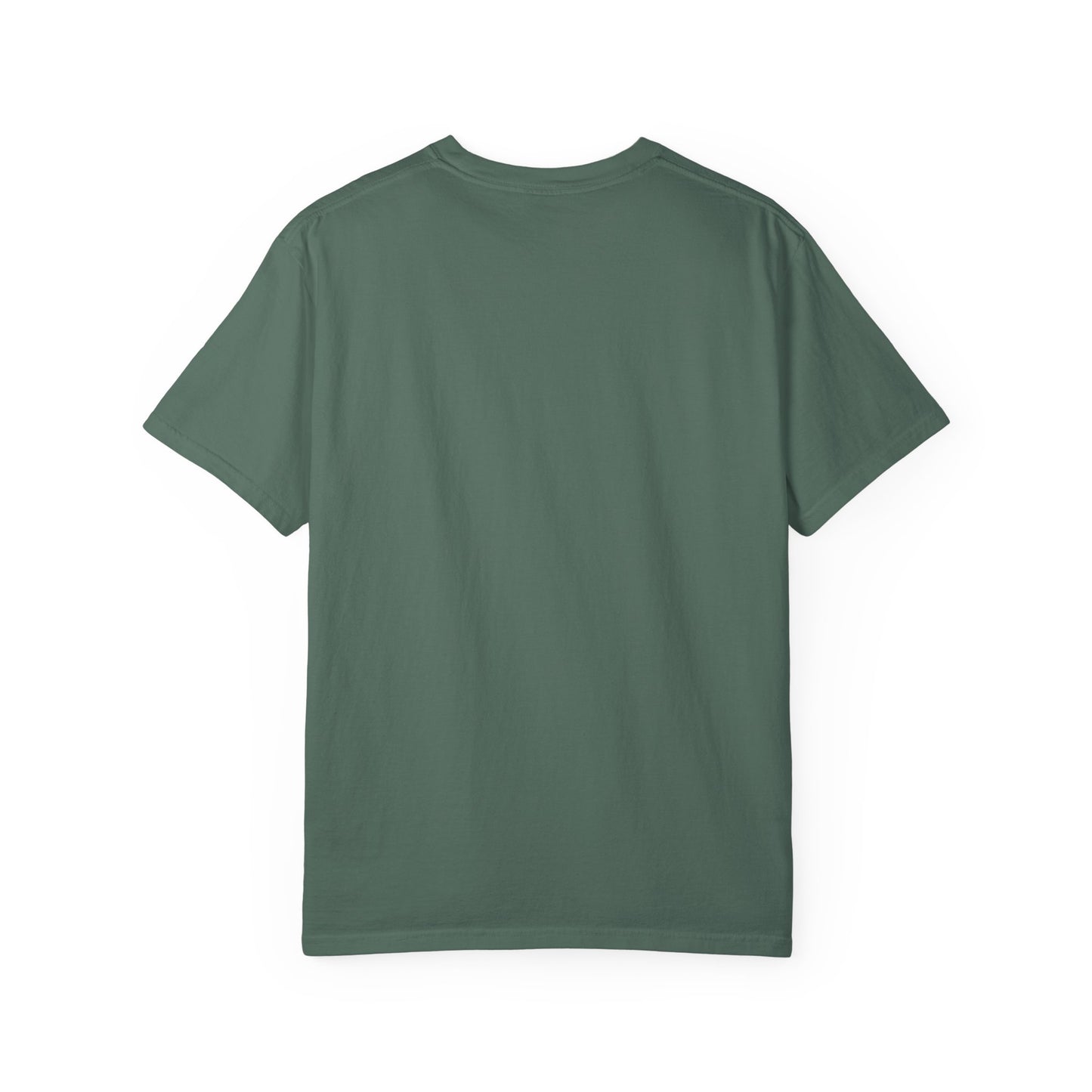 Warning may nap at anytime T-shirt | Sleeping Orange Cat