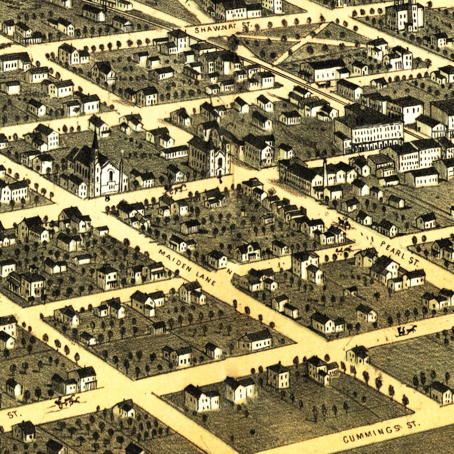 Vintage Map of Tecumseh, Michigan 1868
