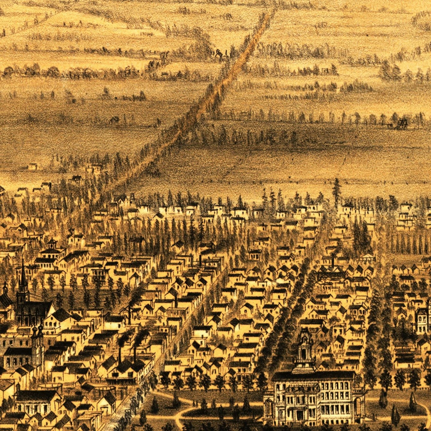 Vintage Map of San Jose, California 1875
