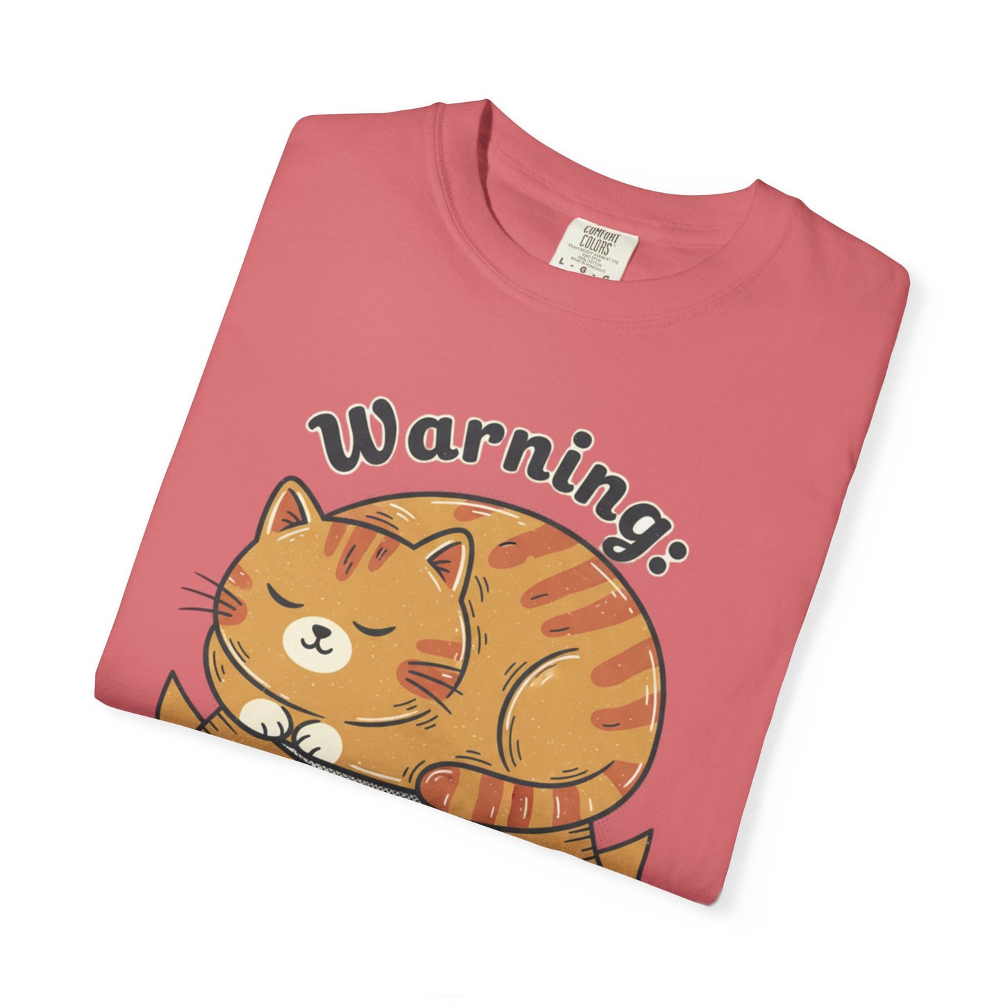 Warning may nap at anytime T-shirt | Sleeping Orange Cat