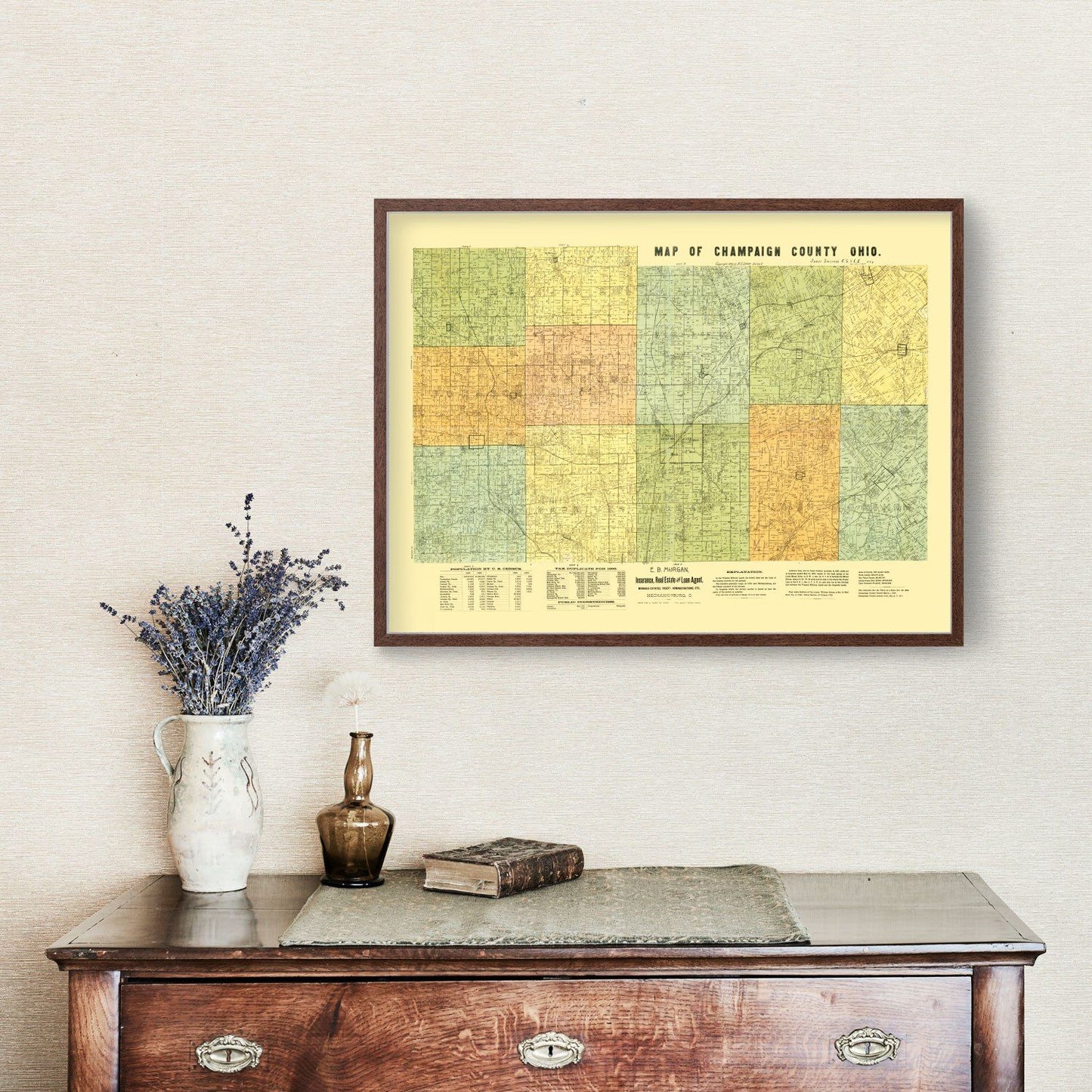 Vintage Map of Champaign County, Ohio 1894