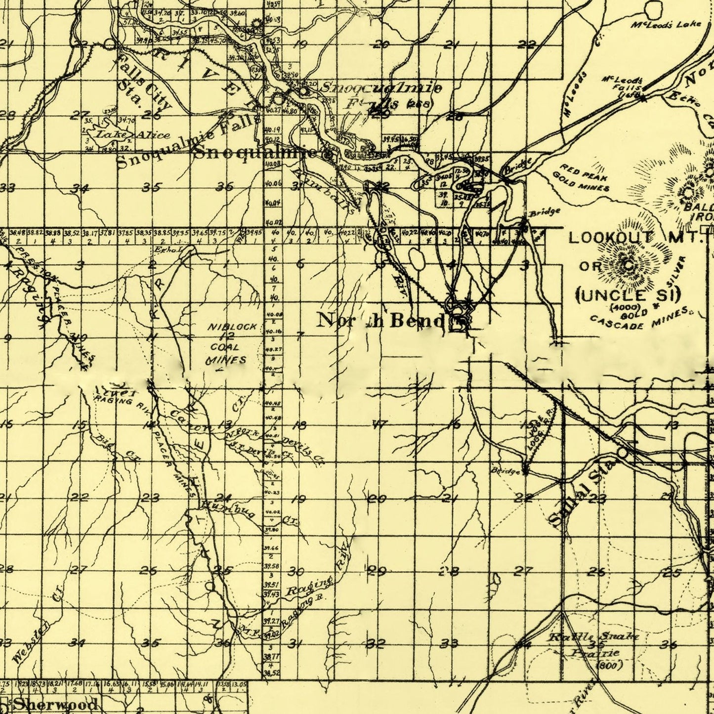 Vintage Map of King County, Washington 1894