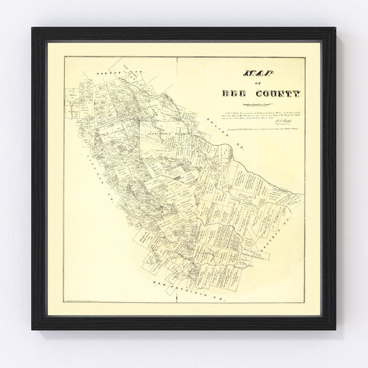 Vintage Map of Bee County, Texas 1879