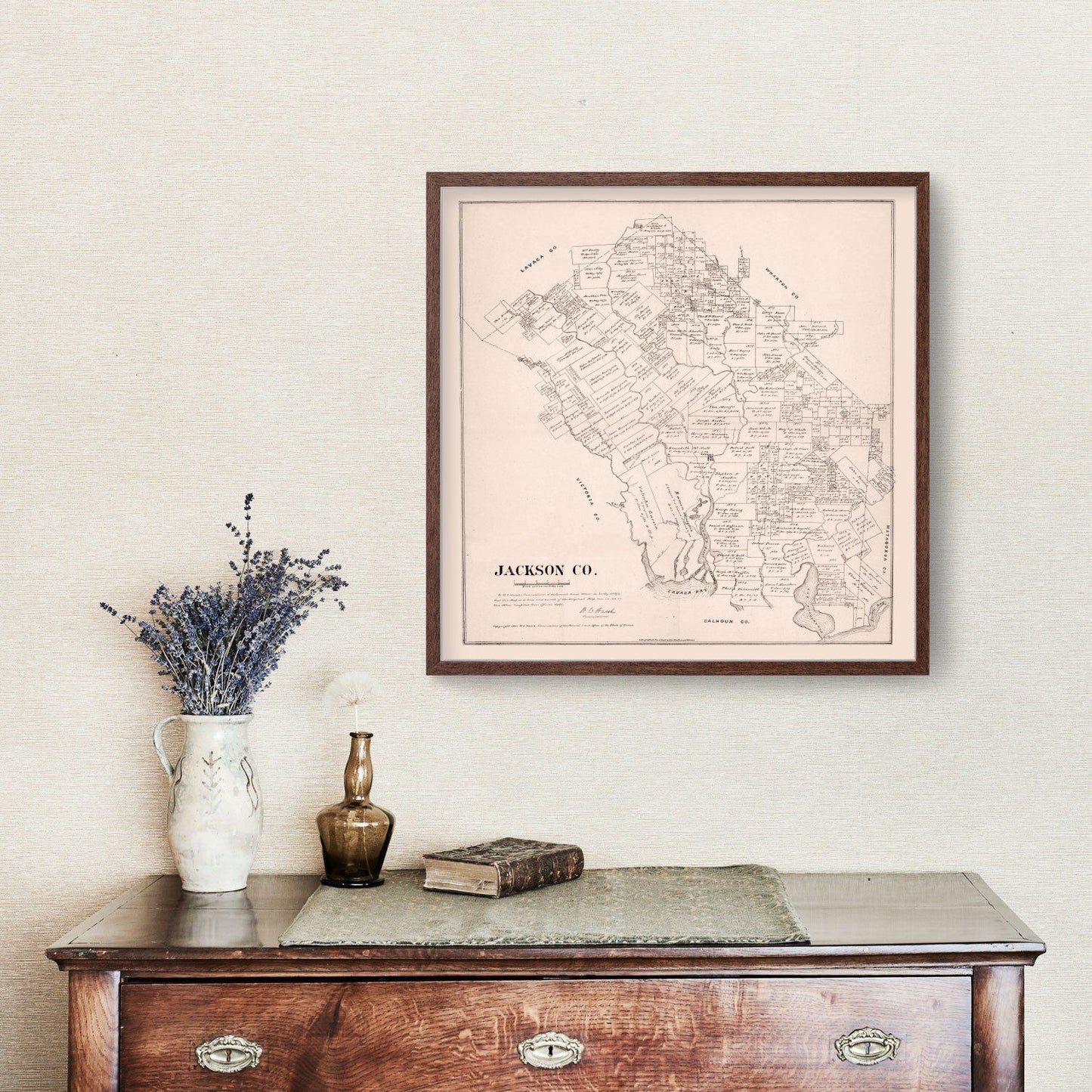 Vintage Map of Jackson County, Texas 1880