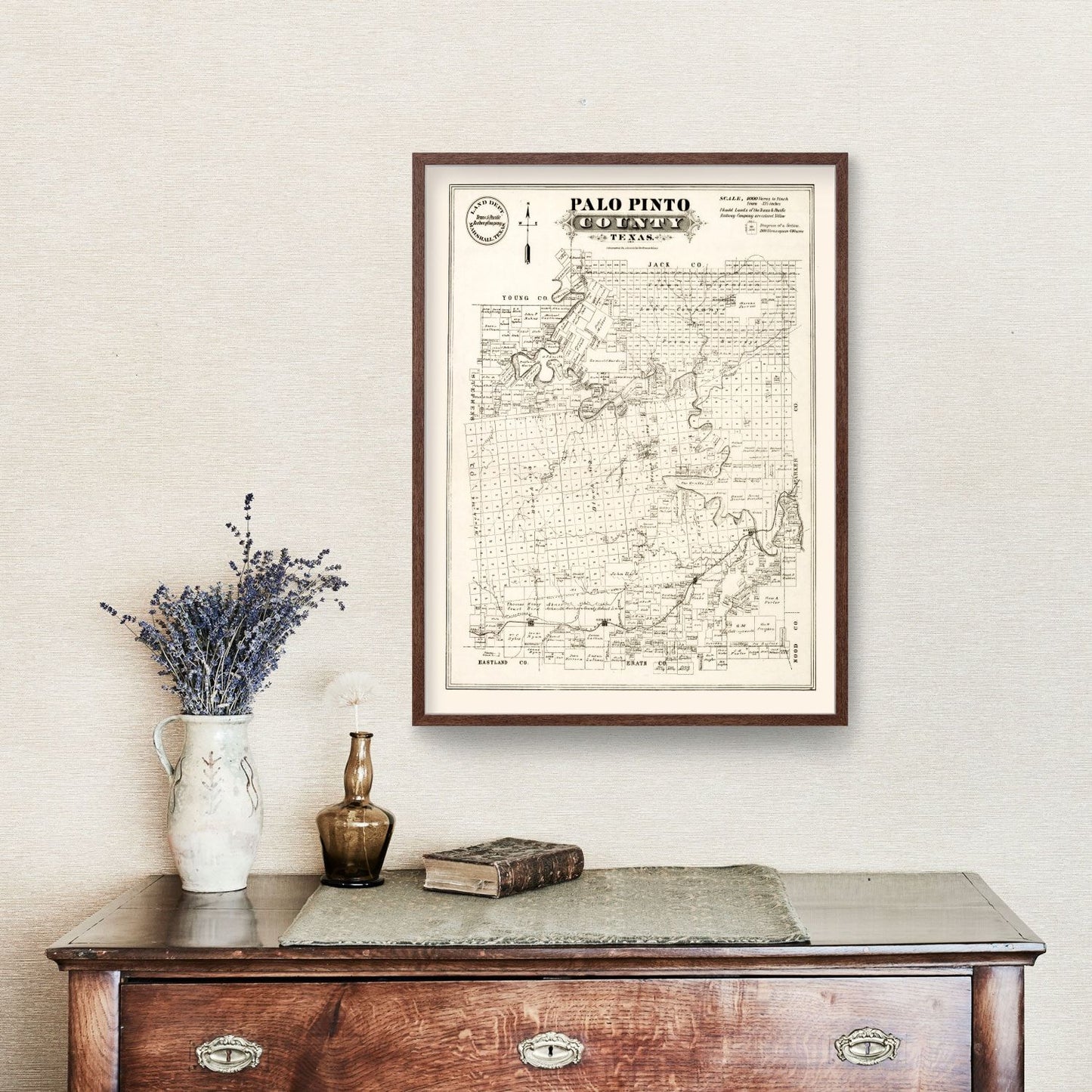 Vintage Map of Palo Pinto County, Texas 1880