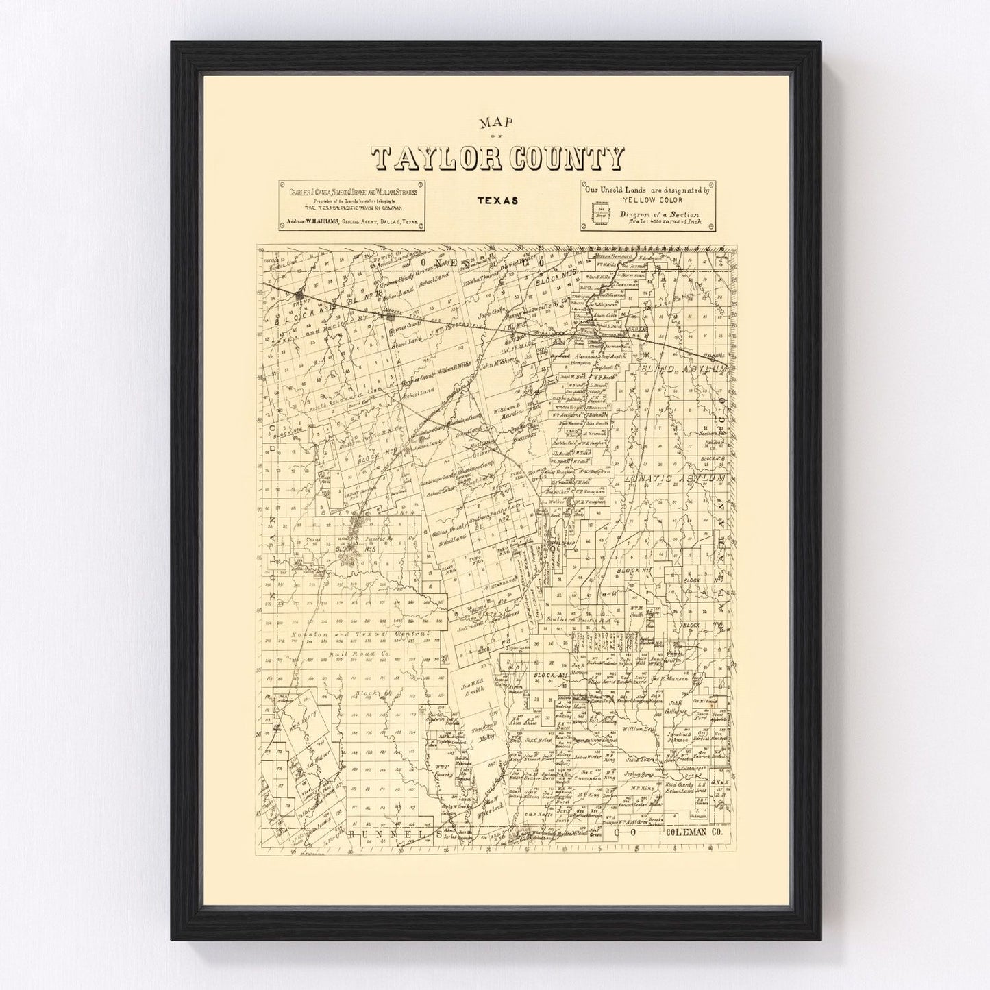 Vintage Map of Taylor County, Texas 1890