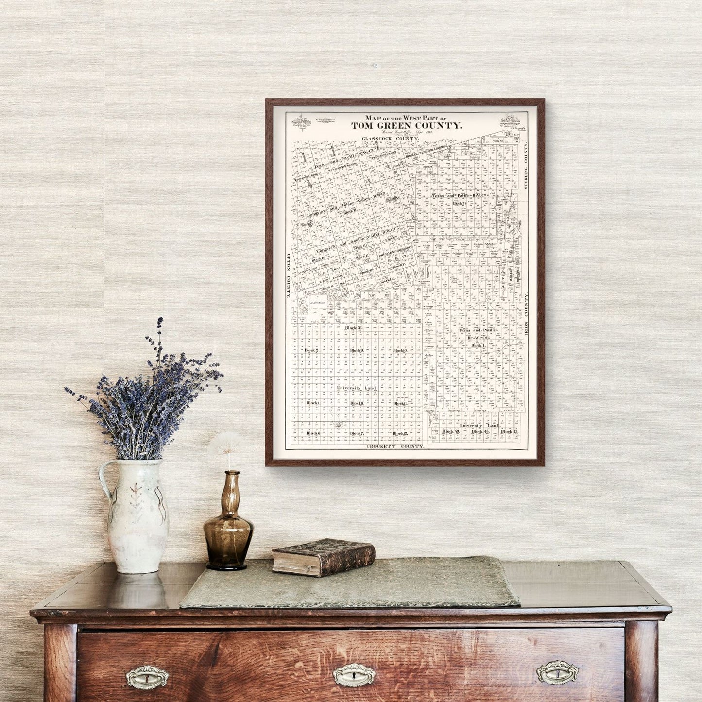 Vintage Map of Tom Green County, Texas 1894