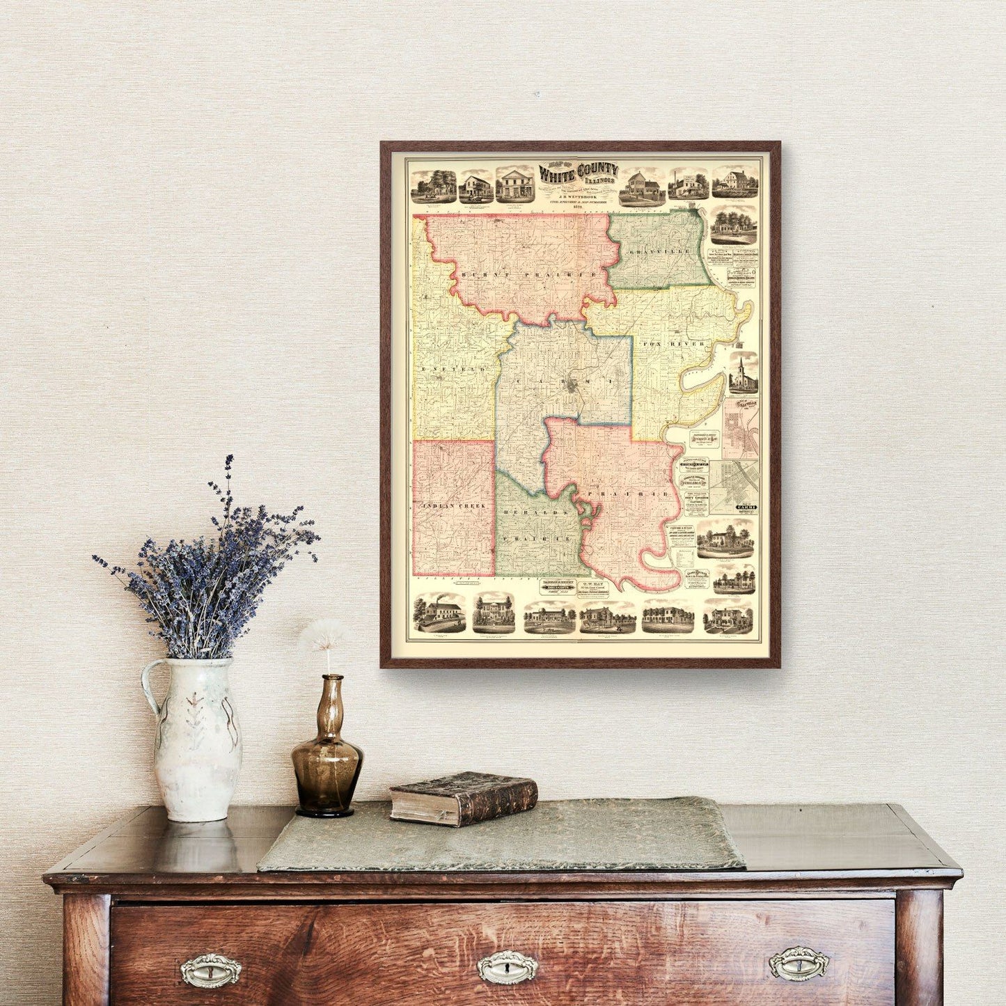 Vintage Map of White County, Illinois 1871