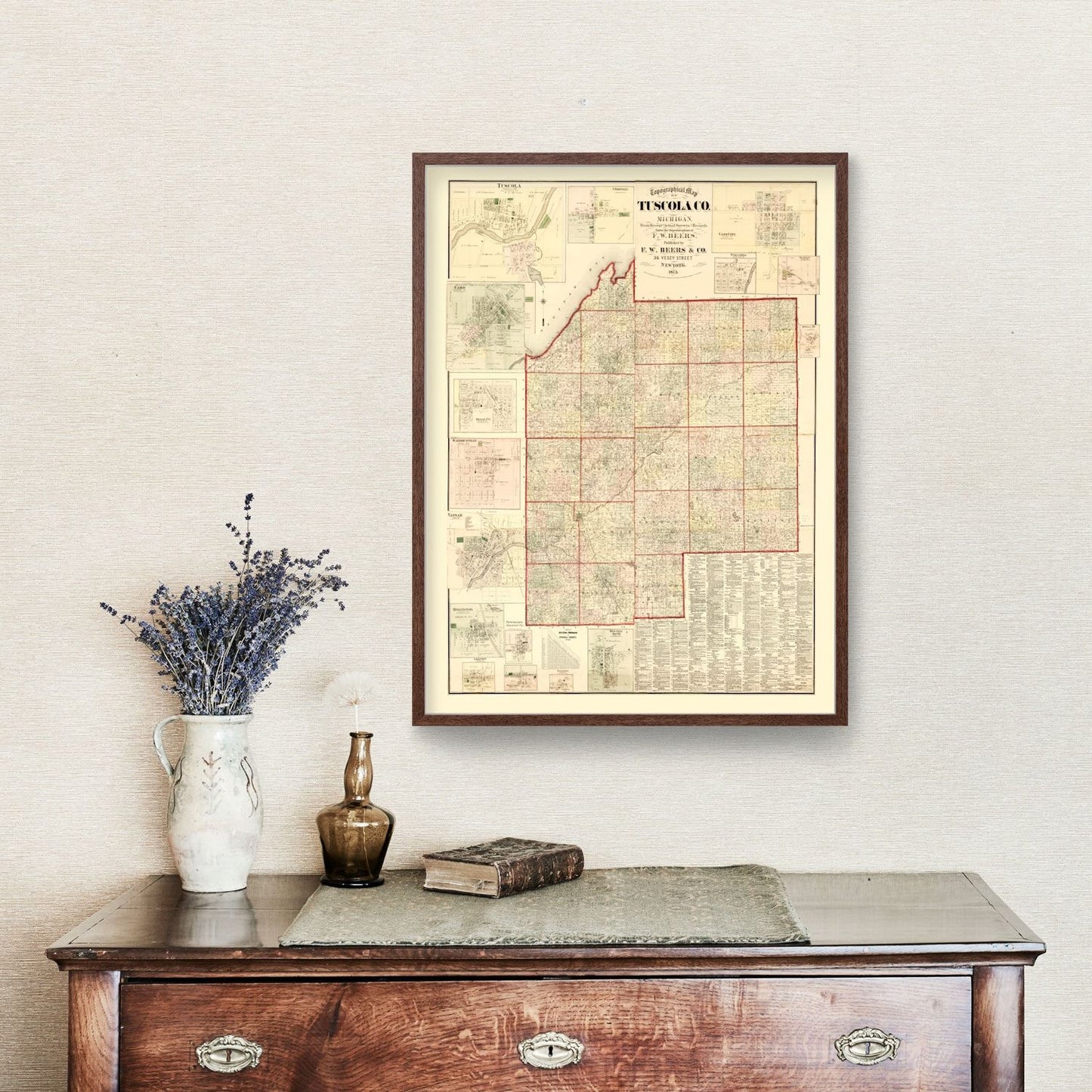 Vintage Map of Tuscola County, Michigan 1875