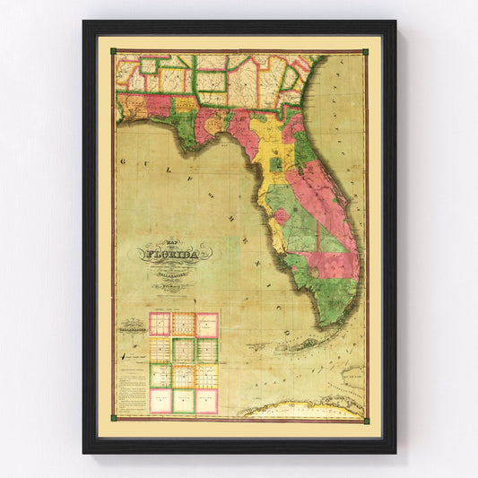 Vintage Map of Florida 1829