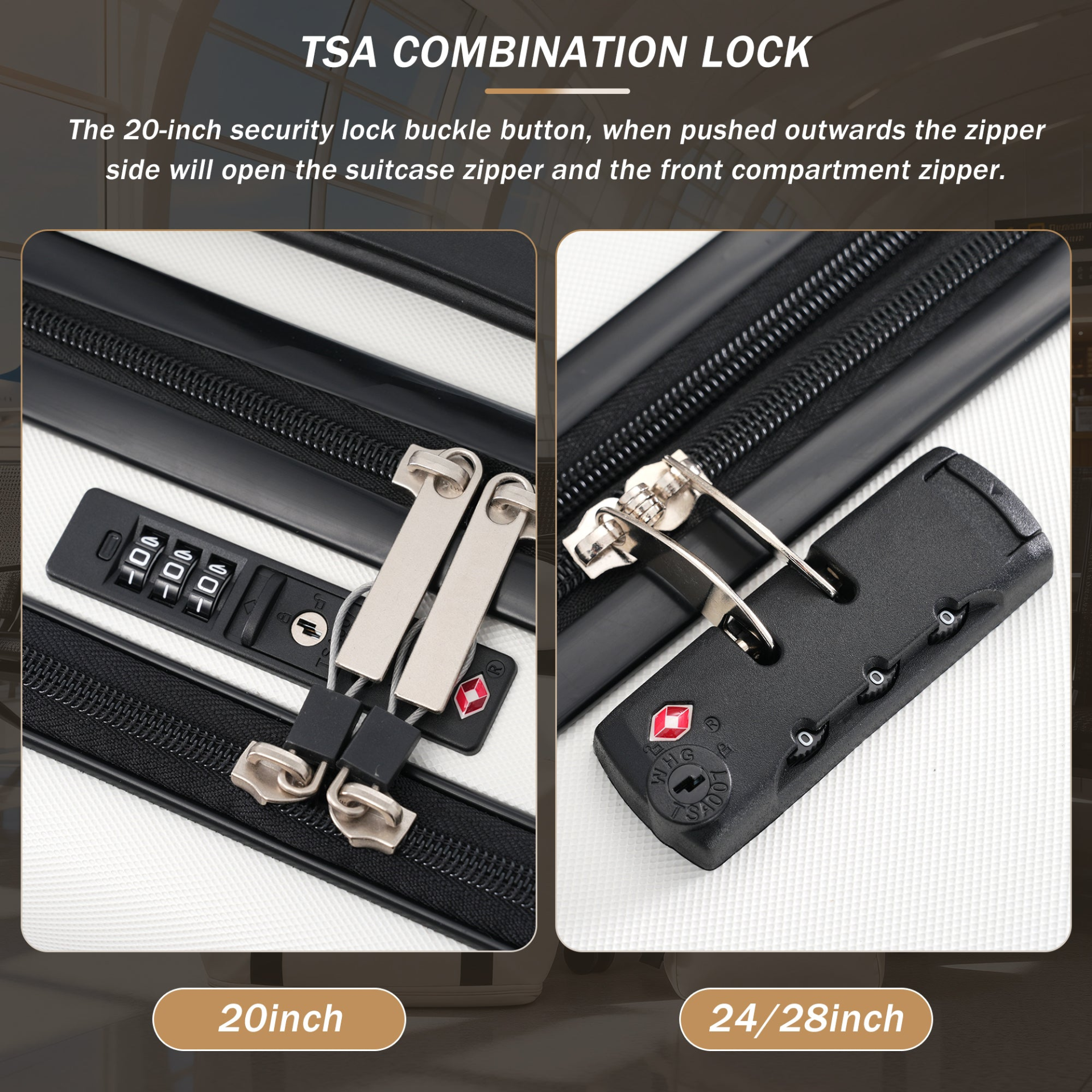 81853813