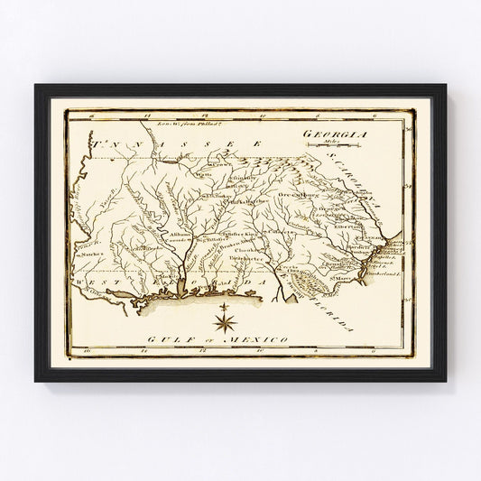 Vintage Map of Georgia 1795