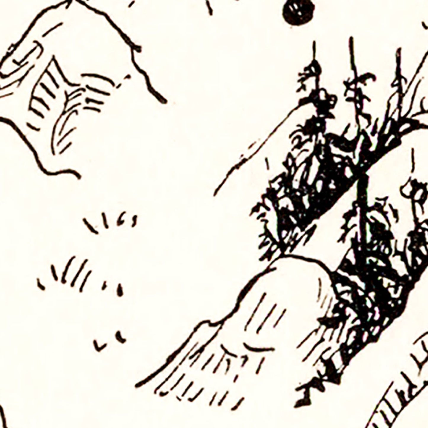 Vintage Map of Nevada 1931