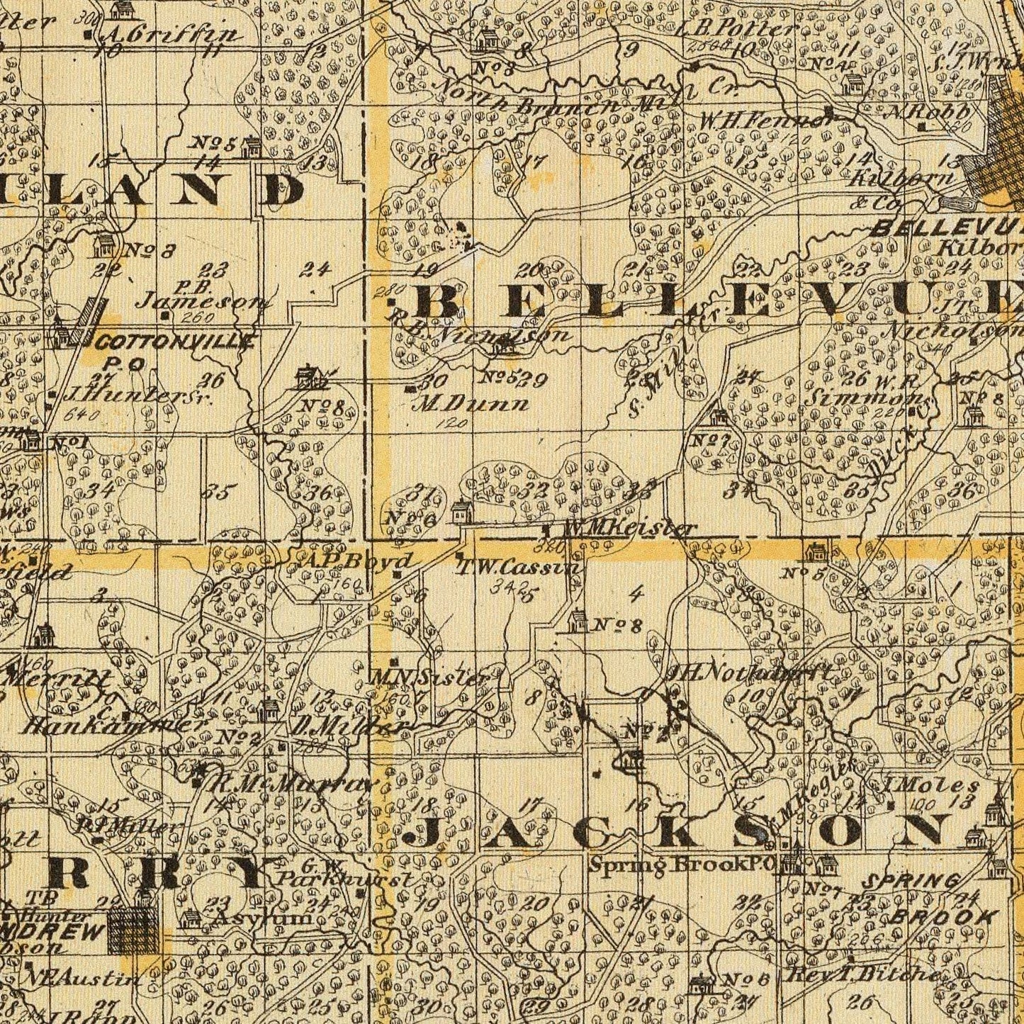Vintage Map of Jackson County, Iowa 1875