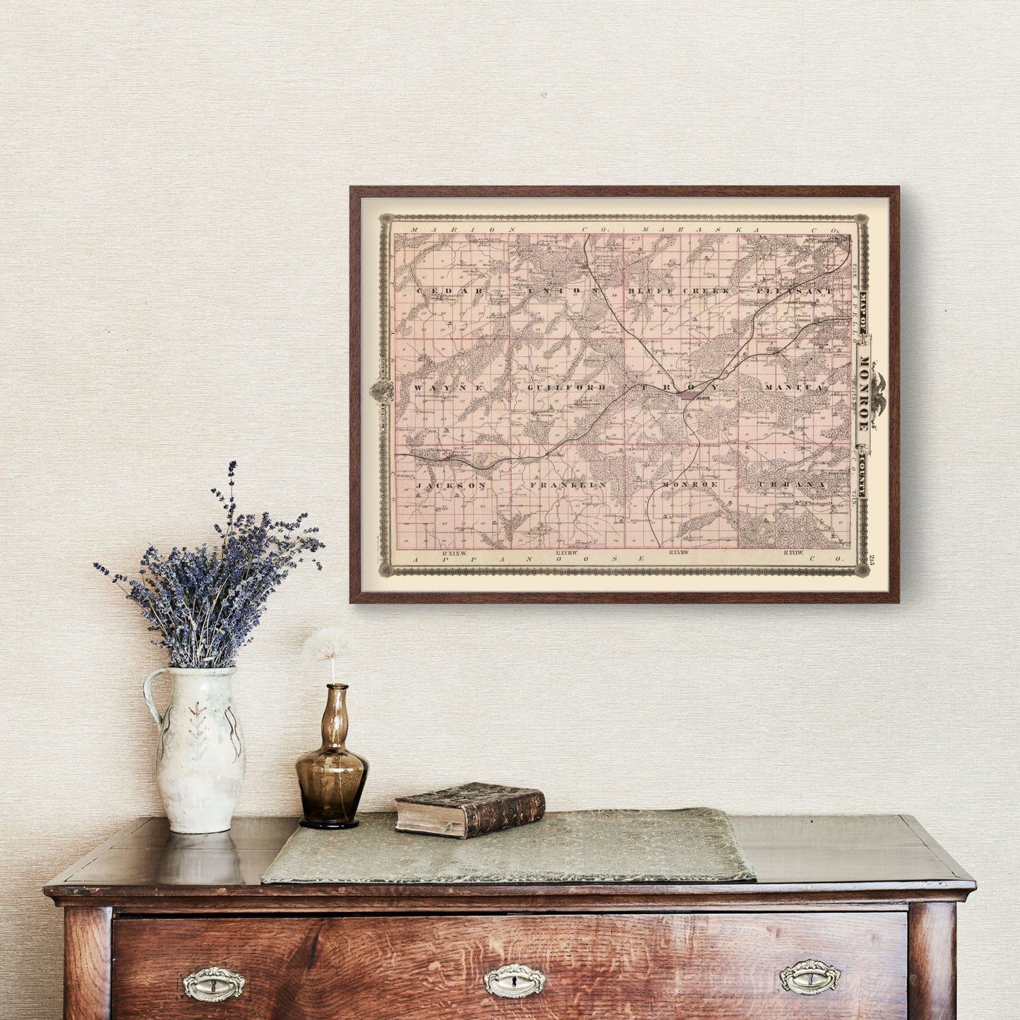 Vintage Map of Monroe County, Iowa 1875