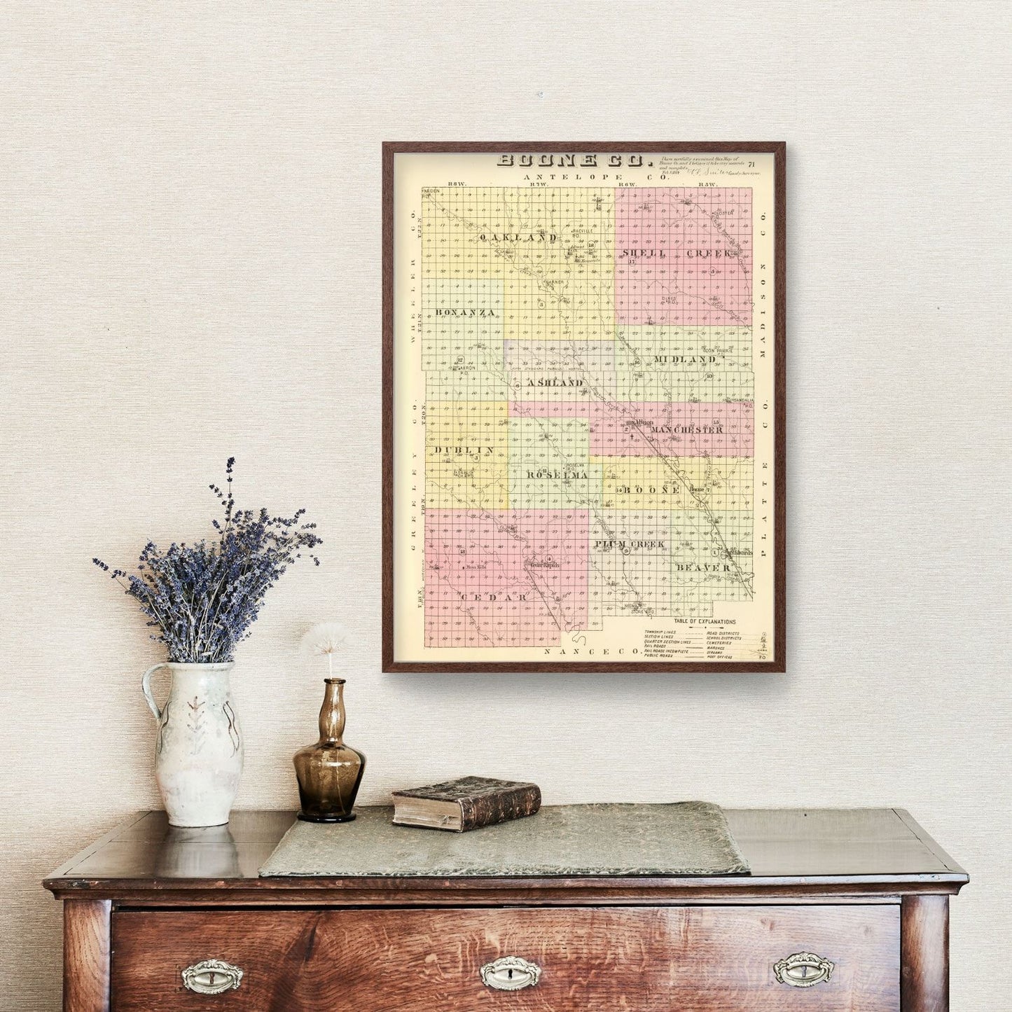 Vintage Map of Boone County, Nebraska 1885
