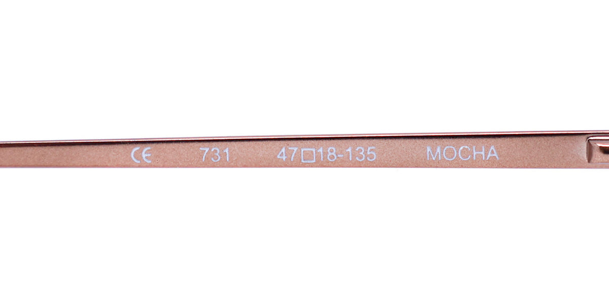 Elite Eyewear Intelli Clip 731 Eyeglasses