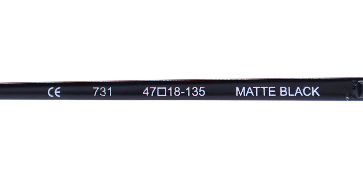 Elite Eyewear Intelli Clip 731 Eyeglasses