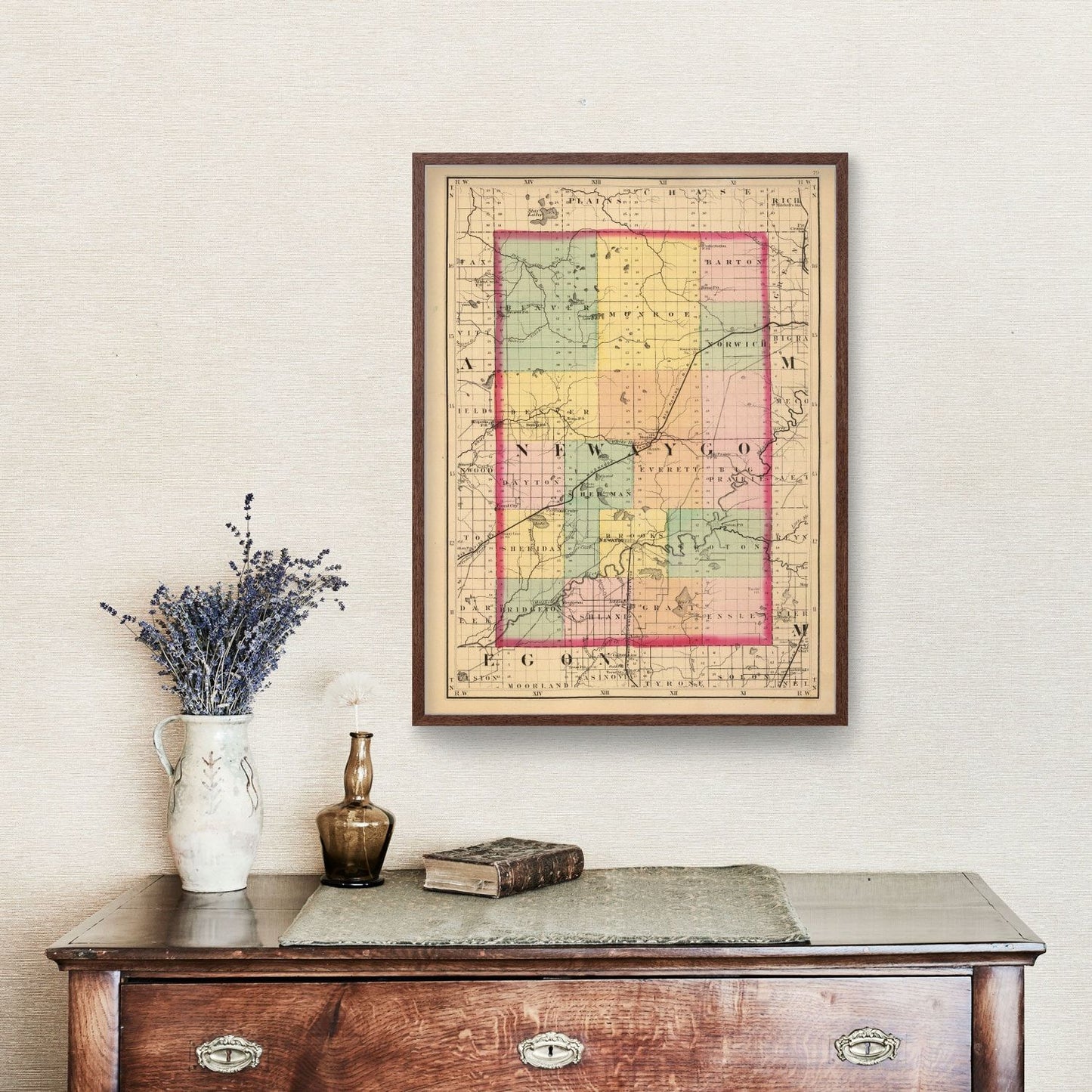 Vintage Map of Newaygo County, Michigan 1873
