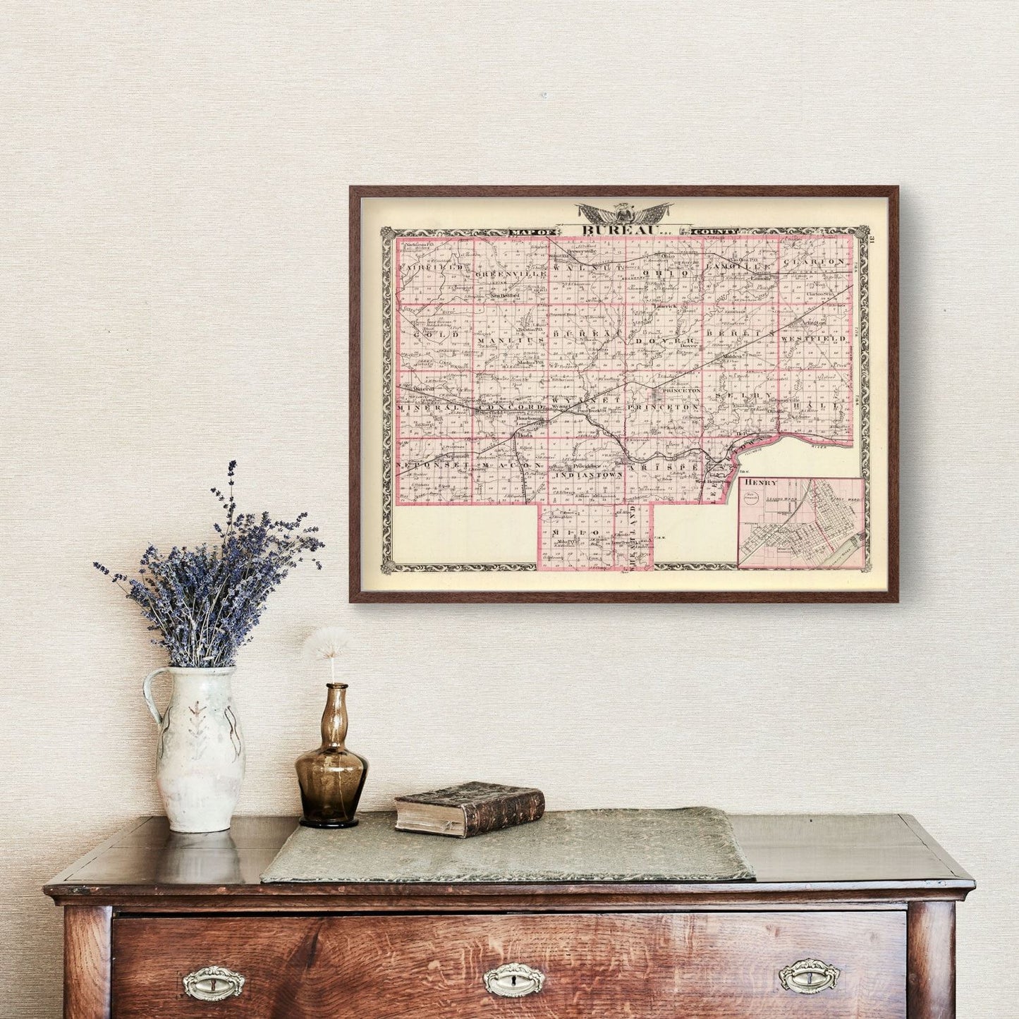 Vintage Map of Bureau County, Illinois 1876