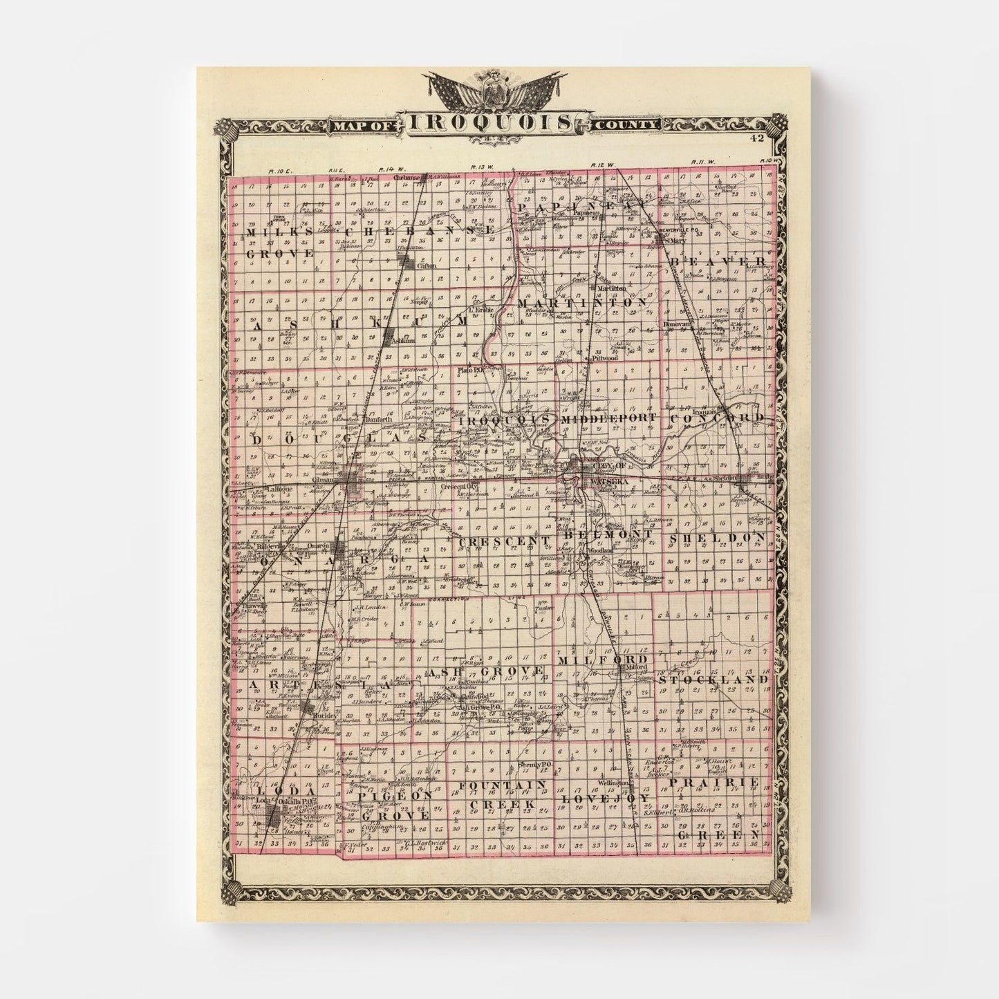 Vintage Map of Iroquois County, Illinois 1876