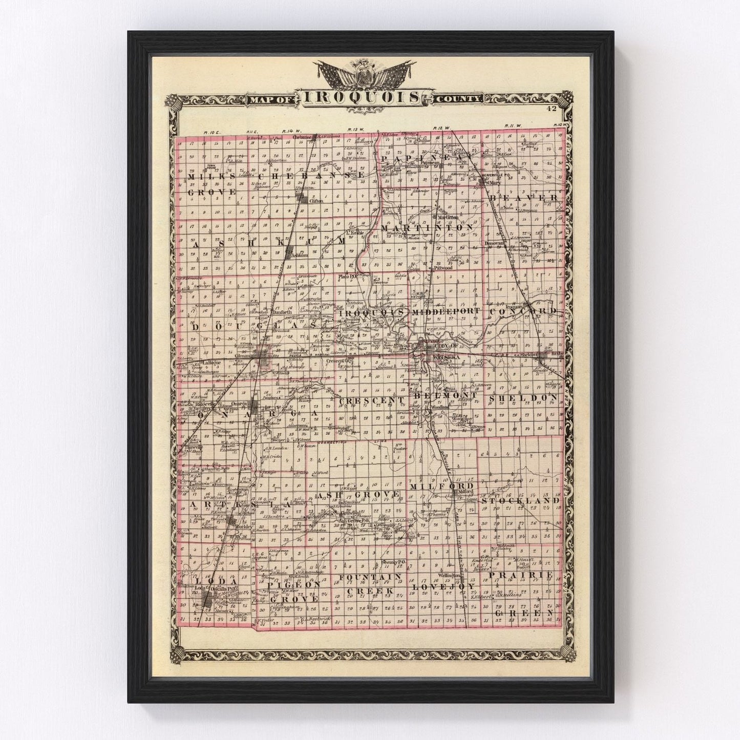 Vintage Map of Iroquois County, Illinois 1876