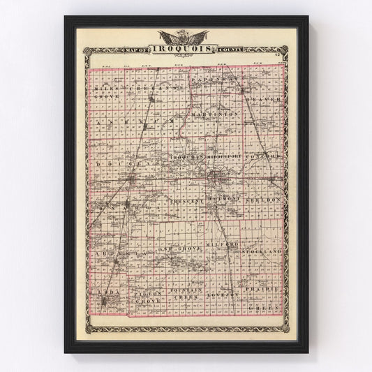 Vintage Map of Iroquois County, Illinois 1876