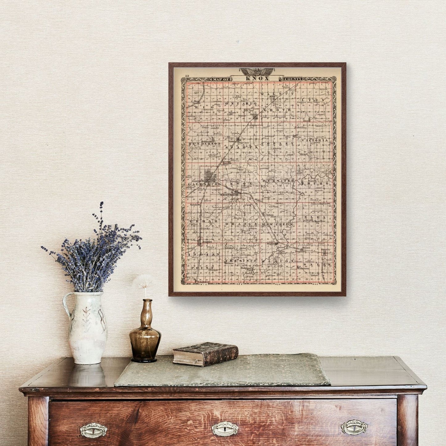 Vintage Map of Knox County, Illinois 1876