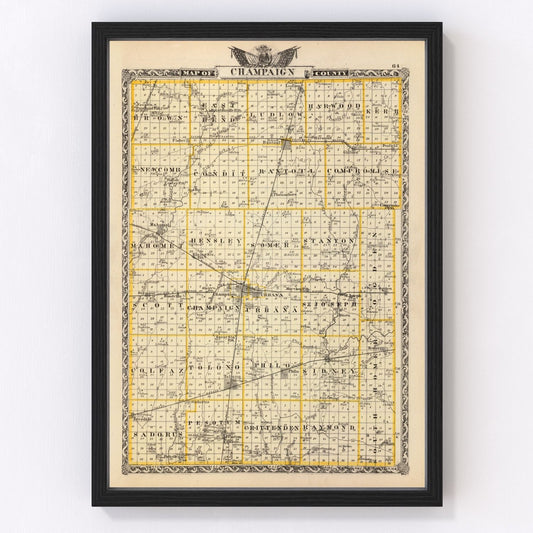 Vintage Map of Champaign County, Illinois 1876