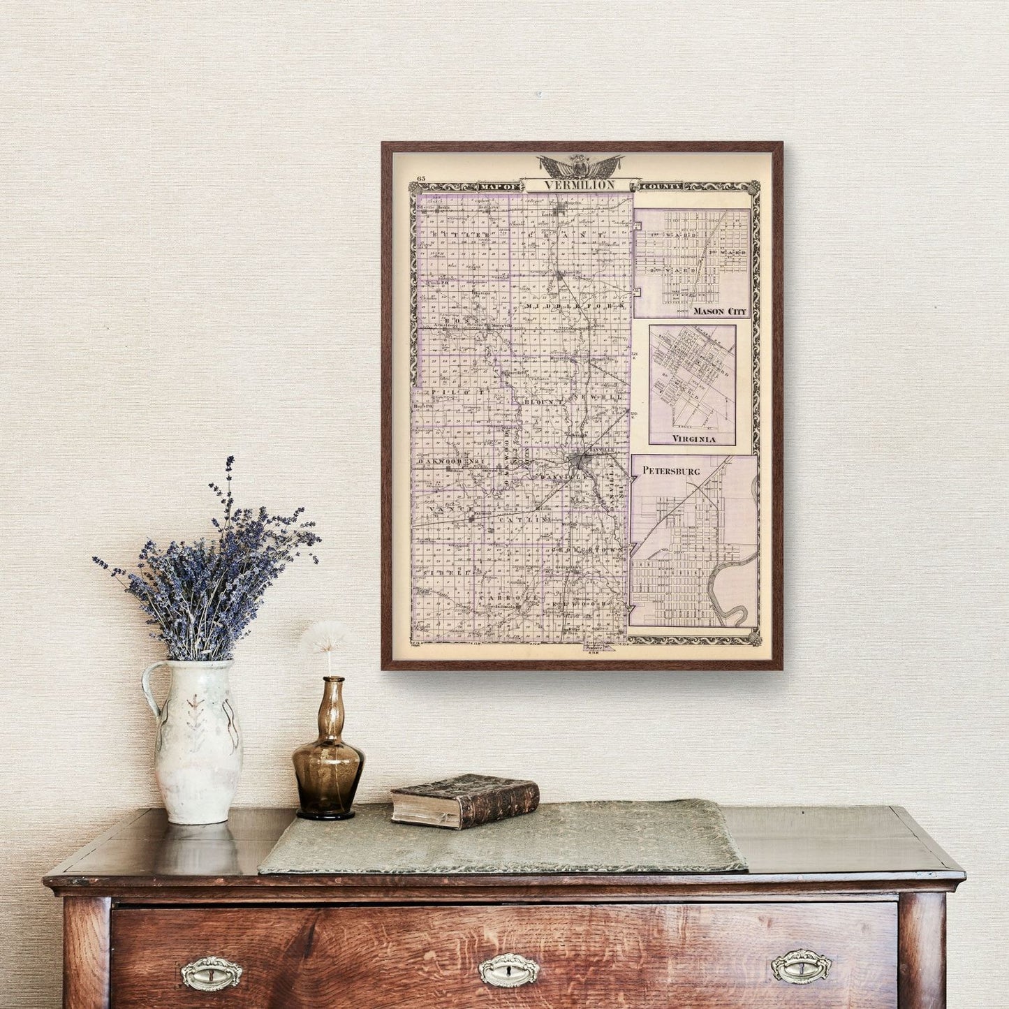 Vintage Map of Vermilion County, Illinois 1876