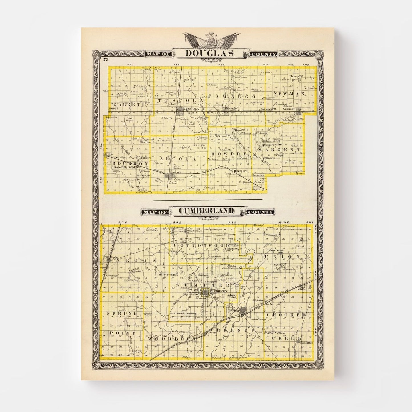 Vintage Map of Douglas County, Illinois 1876