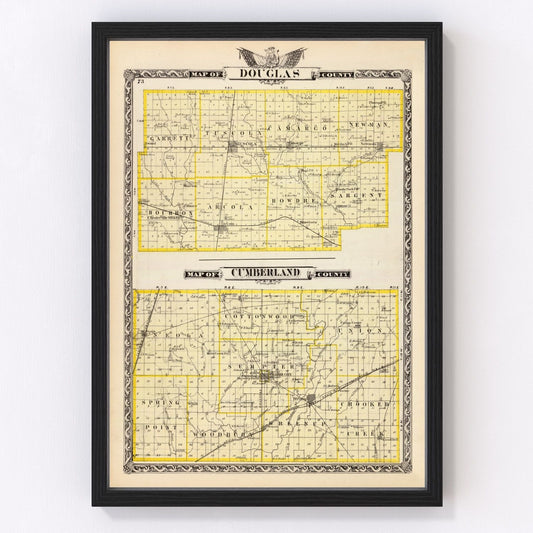 Vintage Map of Douglas County, Illinois 1876