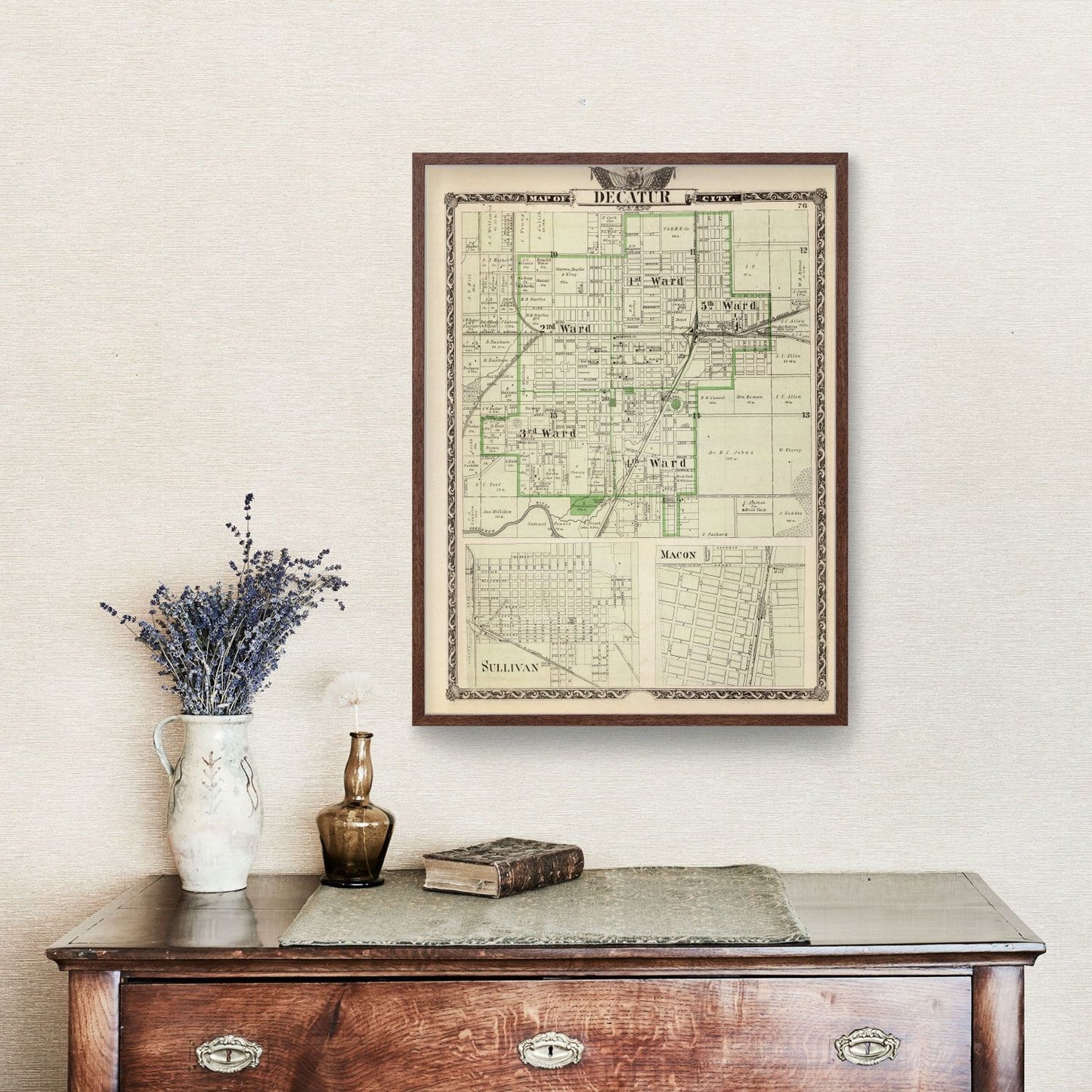 Vintage Map of Decatur County, Illinois 1876