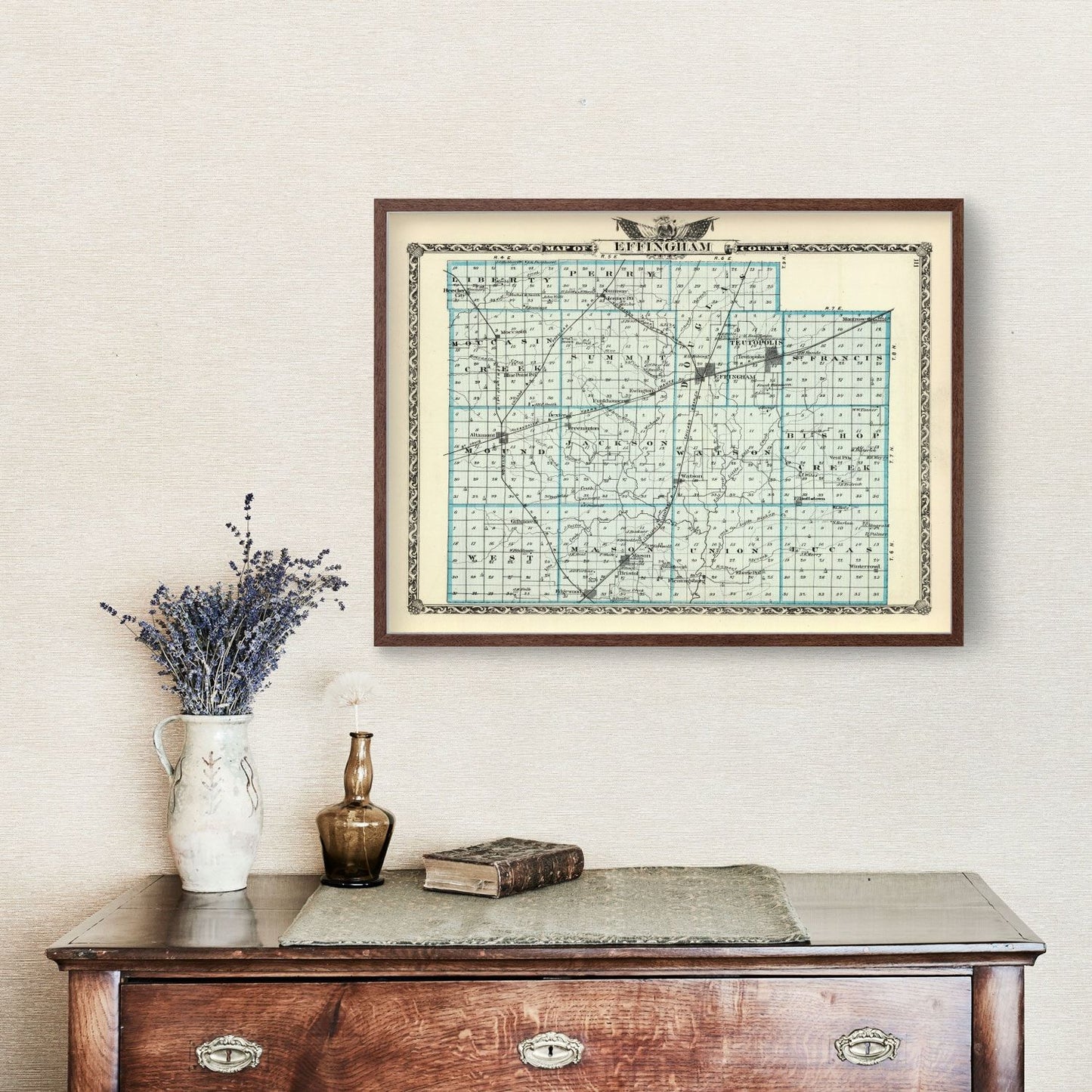 Vintage Map of Effingham County, Illinois 1876