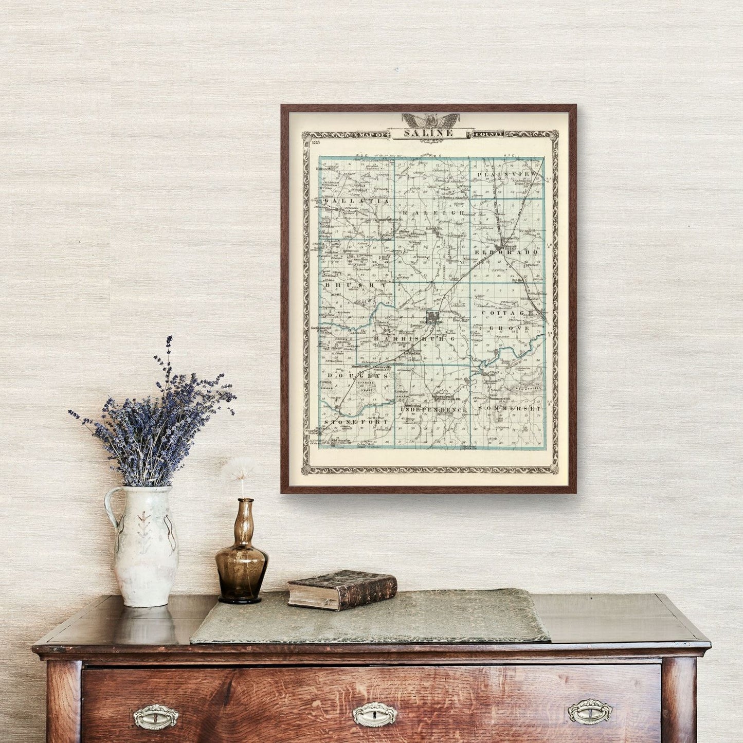 Vintage Map of Saline County, Illinois 1876
