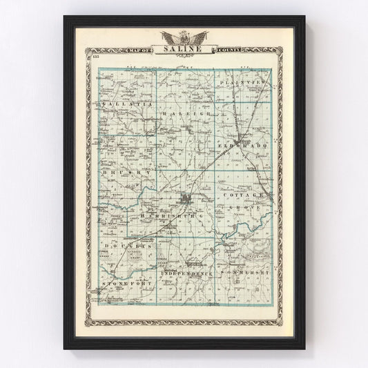 Vintage Map of Saline County, Illinois 1876