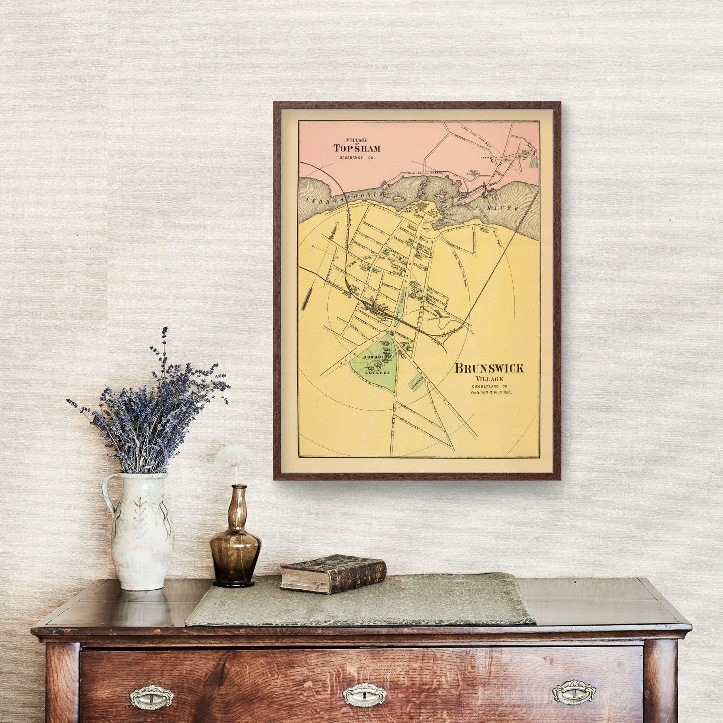 Vintage Map of Brunswick, Maine 1894