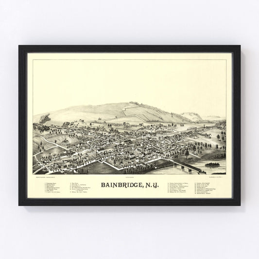Vintage Map of Bainbridge, New York 1889