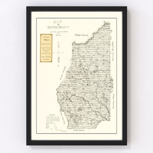 Vintage Map of Coffee County, Georgia 1891