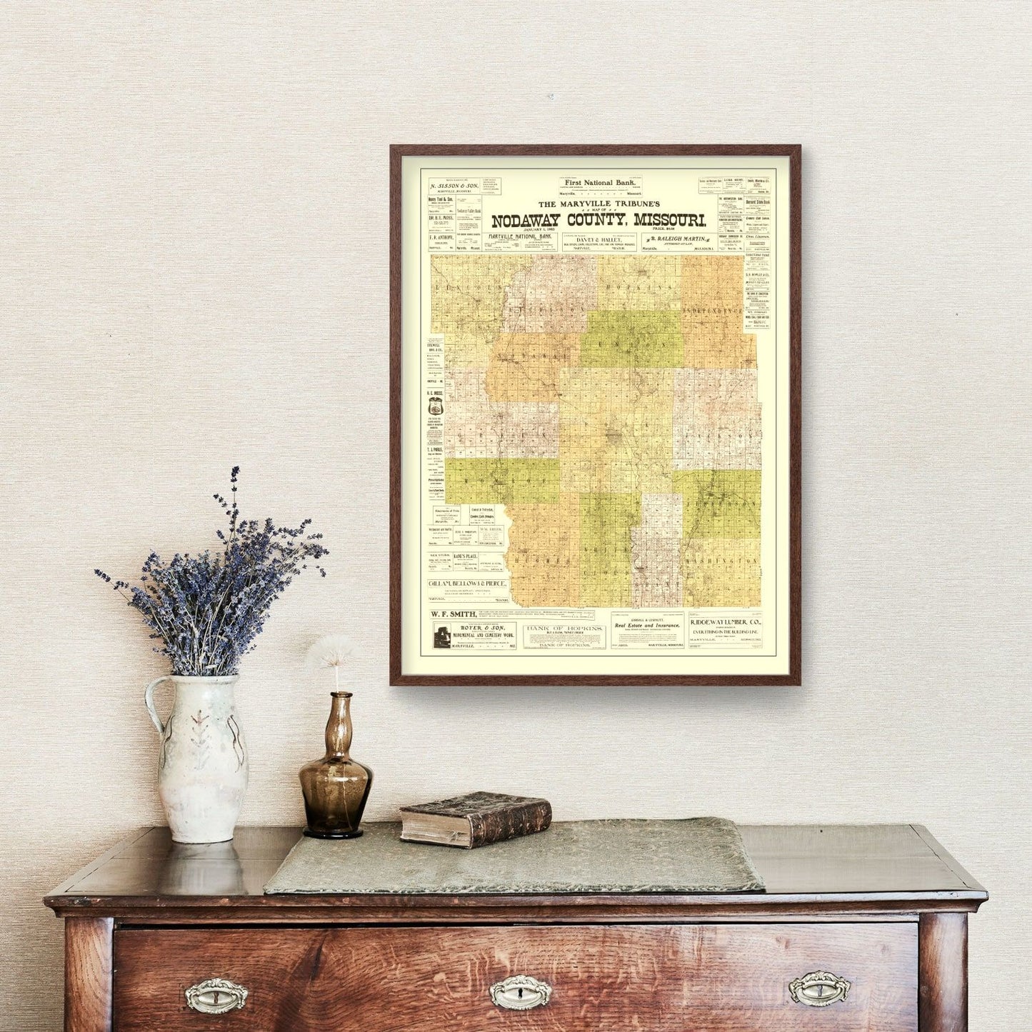 Vintage Map of Nodaway County, Missouri 1906