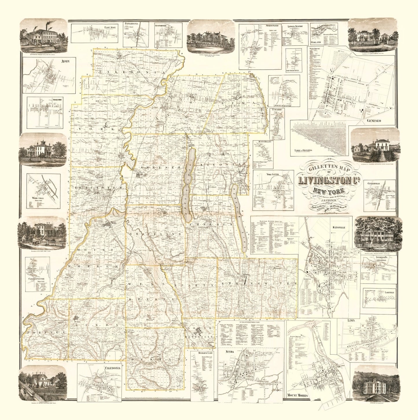 Vintage Map of Livingston County, New York 1858