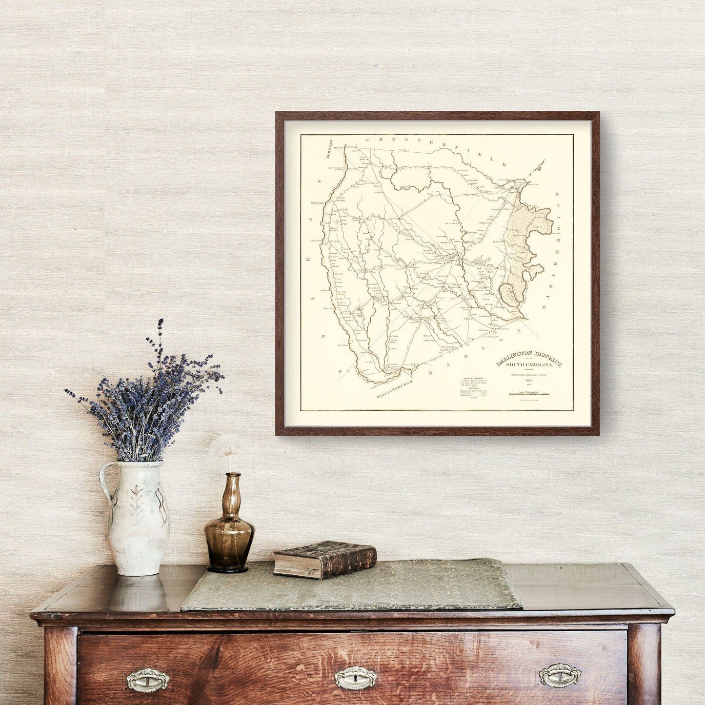 Vintage Map of Darlington County, South Carolina 1825