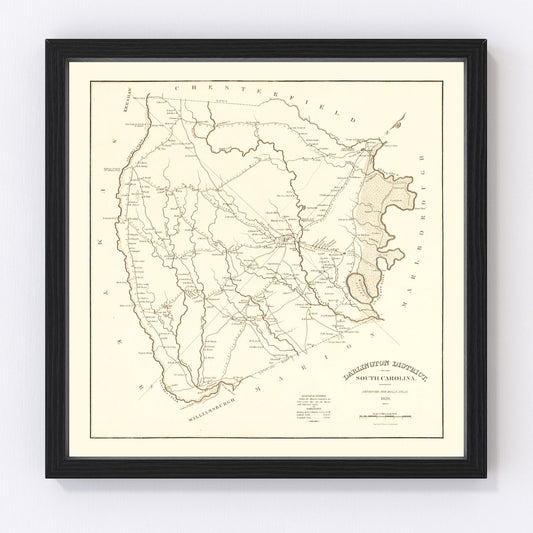 Vintage Map of Darlington County, South Carolina 1825