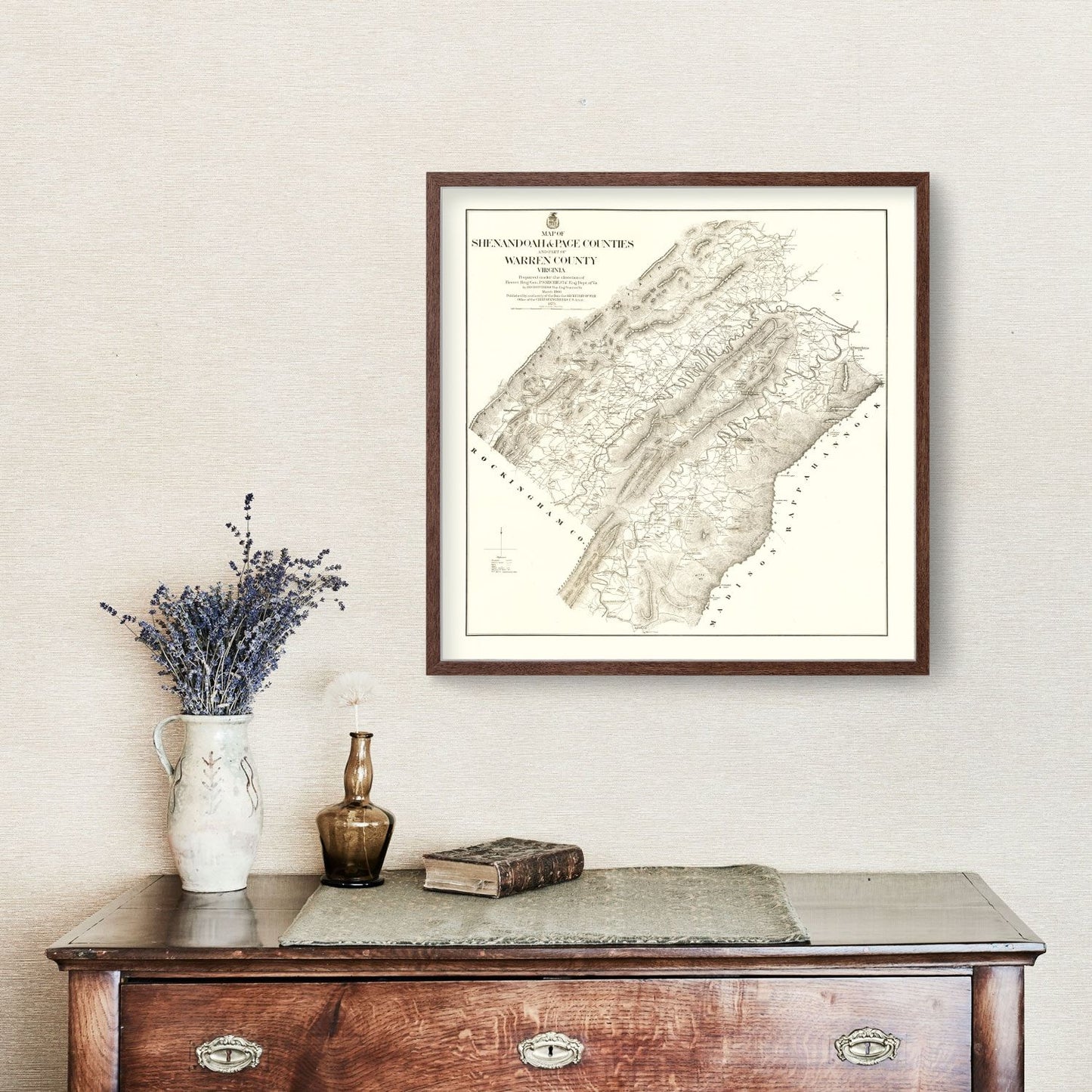 Vintage Map of Shenandoah & Page County, Virginia 1875