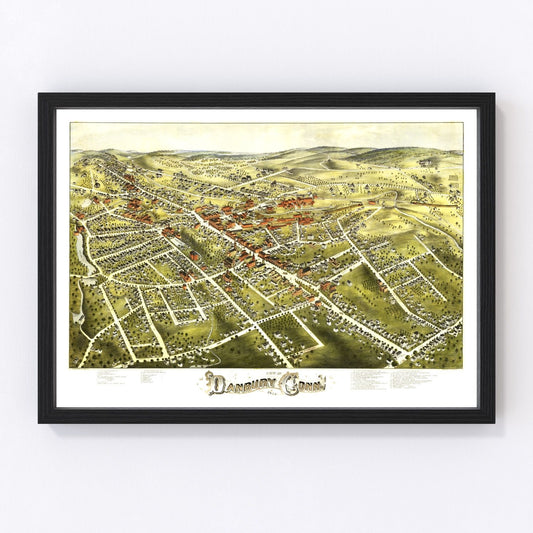 Vintage Map of Danbury, Connecticut 1875