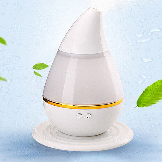 79729966